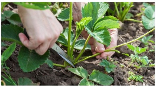 ��� ������� ���� ������ �� ���������� ������? �������� ������ ��� ���������