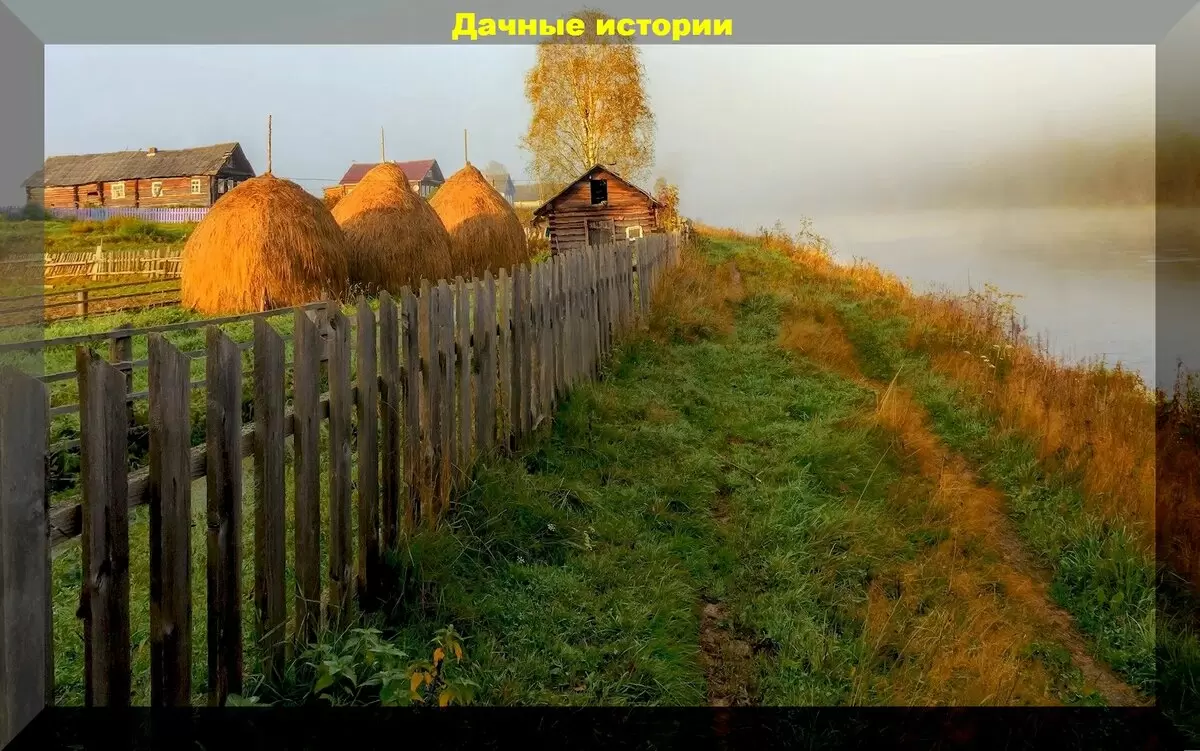 Популярные вопросы и ответы для дачников: секреты урожая и ухода