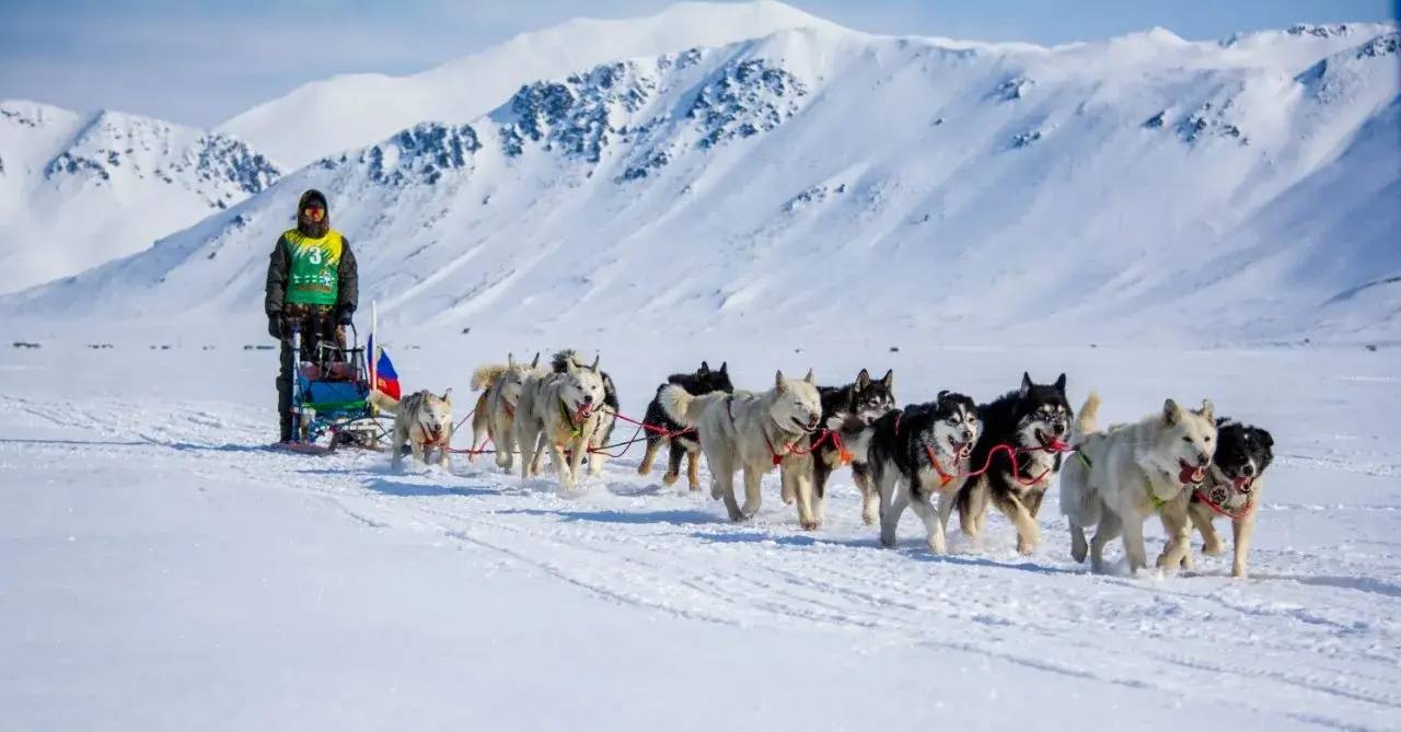 Владислав Кузнецов: На Чукотке финишировала гонка на собачьих упряжках «Надежда-2026»