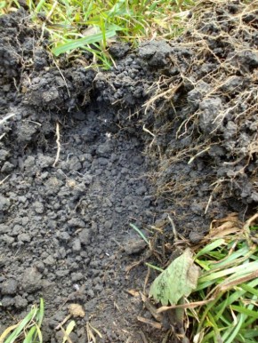 ������ ��������� ����� �����: ����������� � ����� � ��������� ������