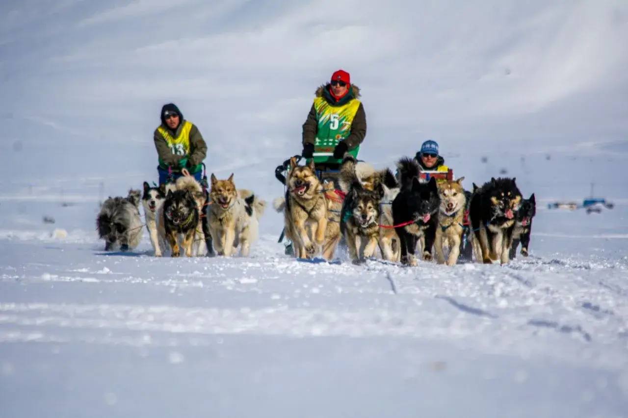 Владислав Кузнецов: На Чукотке финишировала гонка на собачьих упряжках «Надежда-2026» Владислав Кузнецов: На Чукотке финишировала гонка на собачьих упряжках «Надежда-2026»