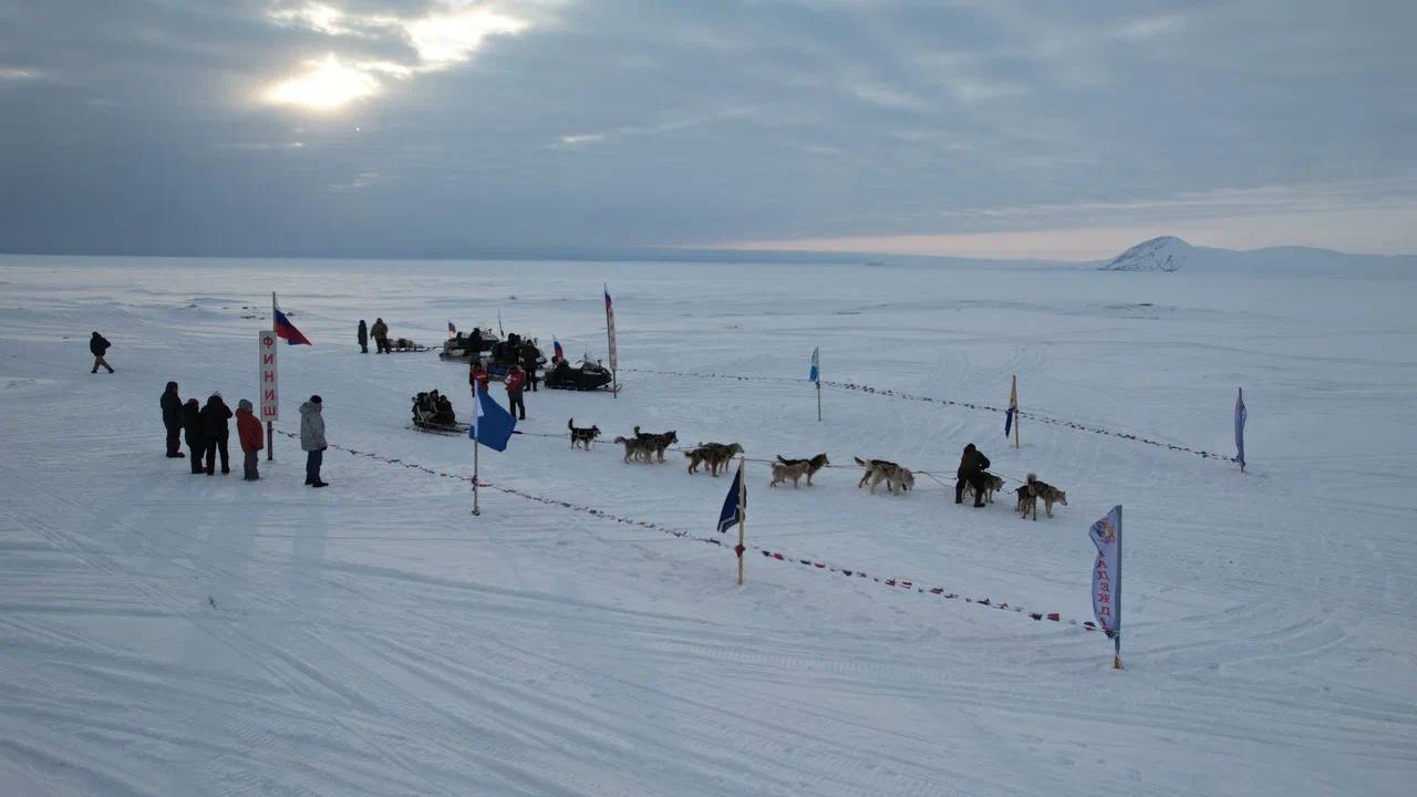 Владислав Кузнецов: На Чукотке финишировала гонка на собачьих упряжках «Надежда-2026» Владислав Кузнецов: На Чукотке финишировала гонка на собачьих упряжках «Надежда-2026»