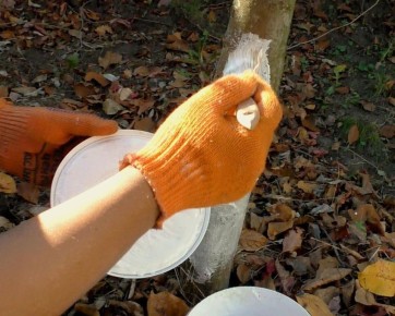 ������ ���� ������� �������� � ����� ��� ��� �����