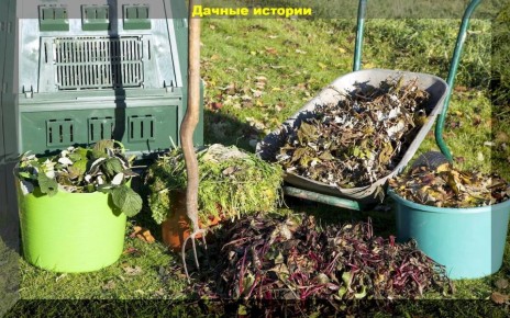 Как создать идеальный компост: советы для дачников