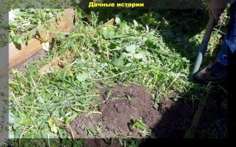 ������� ��������� ������ ��������: ��� ������� ����������� ���������� ����� �����?