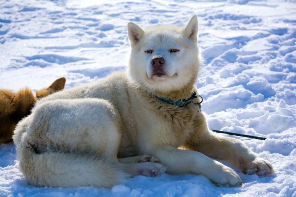 �� ������� ����������� ������������� ����� �� �������� �������� �������� � 2026�