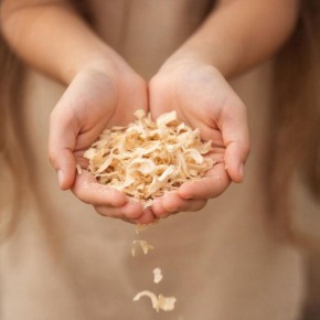 От глины к урожаю: как опилки меняют тяжелую почву