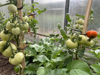 ��� �������� ��������� ������ ������� � ����: ������� �������� ��������