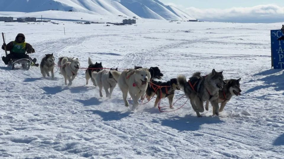 �� ������� ����������� ������������� ����� �� �������� �������� �������� � 2026�