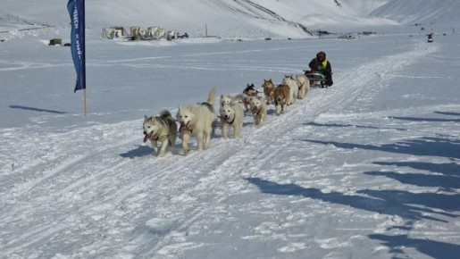 �� ������� ����������� ������������� ����� �� �������� �������� �������� � 2026�