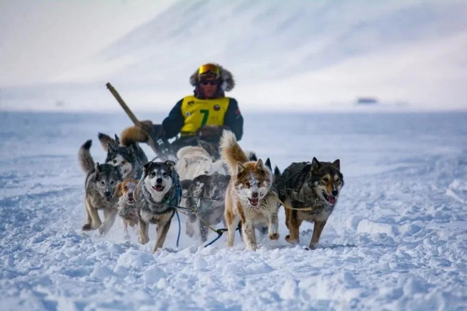 �� ������� ����������� ������������� ����� �� �������� �������� �������� � 2026�