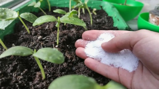 ����������� � ������������: ��� �������� ����� �������