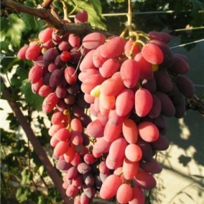 �������� ������: �������� � ������� ��� ������ �����