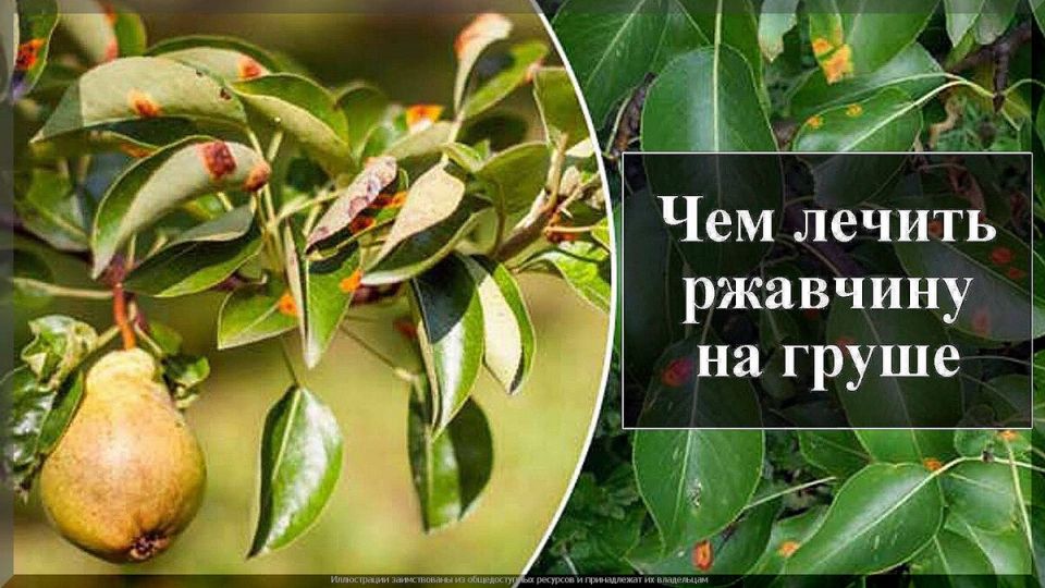 �������� �� ������: ��� �������� ������ � ������� ����������� ����������
