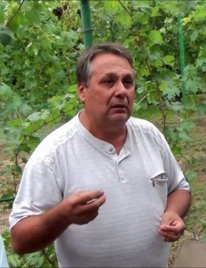 �������� ������: ����� ���� ��� �������� ������������