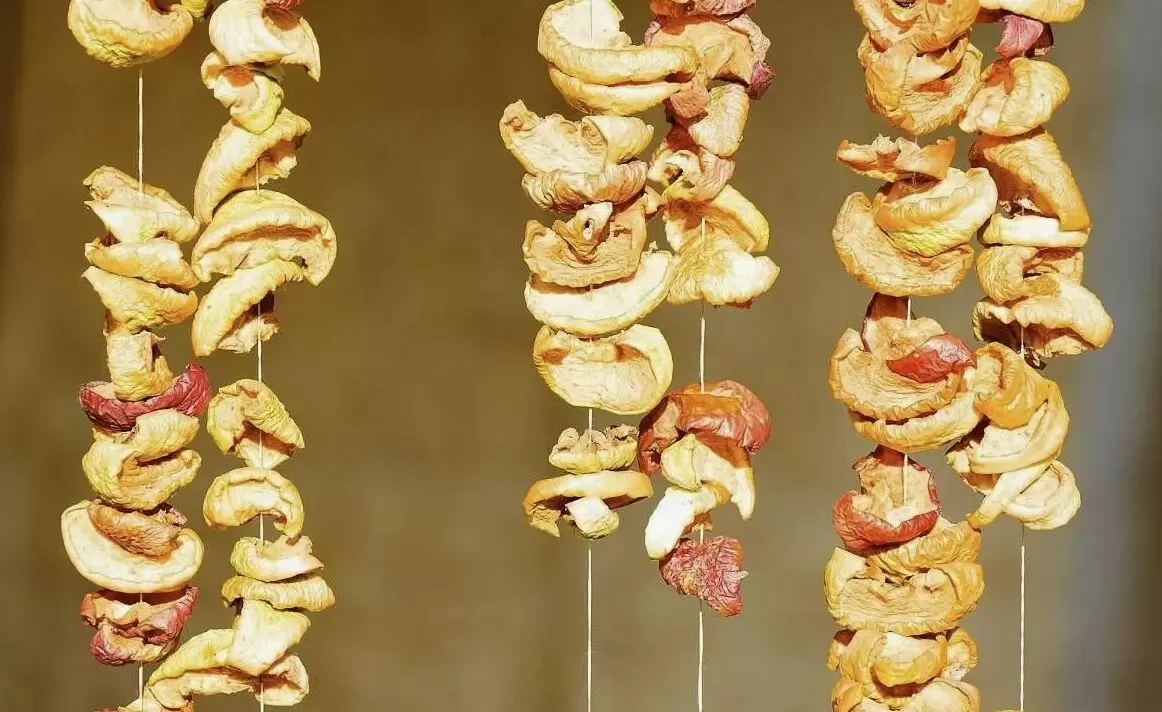 Как засушить яблоки: три простых метода без электроники