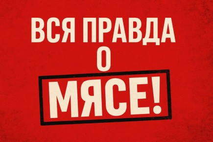 ����� ������� �� �������: ����� �� ������������ �� ����?