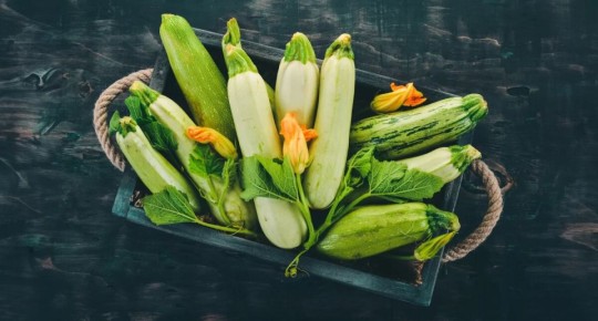 Как приготовить цветки цукини: секреты шефов и вкусные рецепты