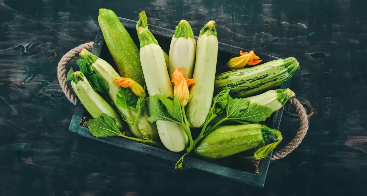 Как приготовить цветки цукини: секреты шефов и вкусные рецепты