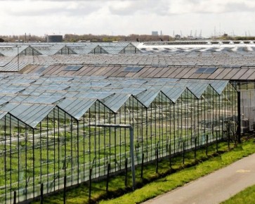 ������� ������: � �������� ������������ ��� ��������� �����������