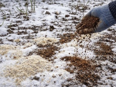 ������ ���������: ��� ������� ��� ������ ������, �� ������� � ������