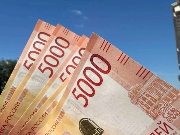 1,9 миллиона: самые высокие зарплаты в РФ – у перестраховщиков Приморья