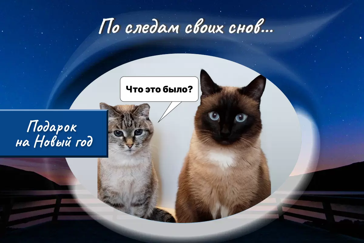 Кулинарные забавы с нашими любимцами