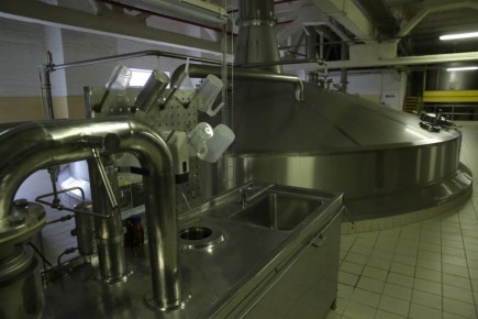 Возрождение отечественного пива: чем помогут новые инициативы