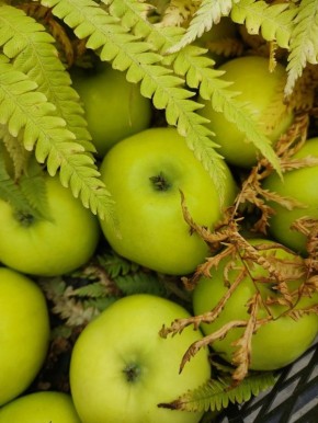 ��� ������ ���: �������� �������� � ������� ��������� ����� �� ���������� ���������