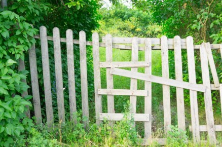 Проверка дачного рая: 15 нарушений, которые могут обернуться штрафами до 1 миллиона рублей