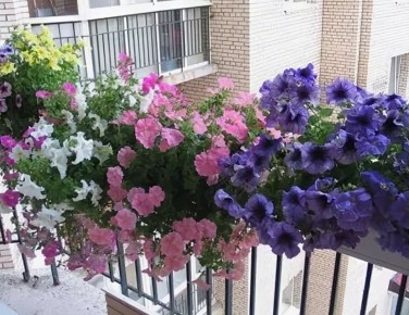 ����� ��� �������� � ������: ��� ������� ��������� �������� ��� ������ ������