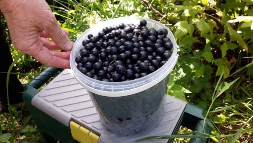 ��� �������� ���������� ������ ���������: �������� ������� �� �������� ��������