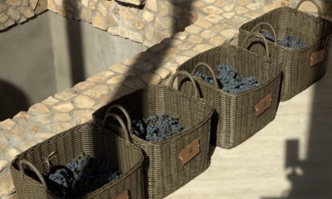 В Темрюке открылась первая в мире античная винодельня