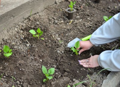 ��� ��������� ����� �� �����: ������� � ������ �� �����