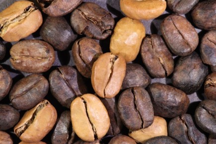 ������� � ����: ��� ���� ����� ������ ��� ������ ��� �������� ������