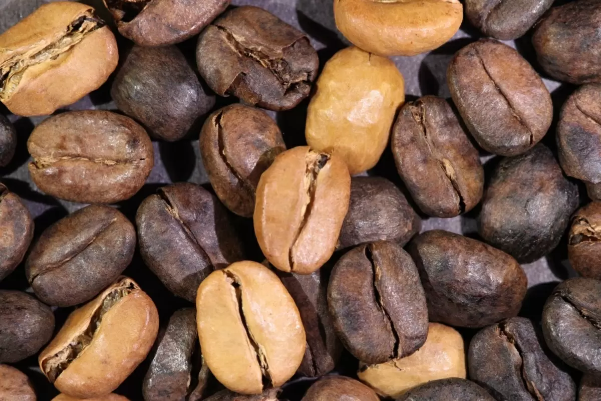 Квакеры в кофе: как одно зерно ставит под угрозу ваш утренний ритуал