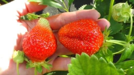 ��� ����� � �������� ���������� �������� ����������� ���������� �� 27 ������