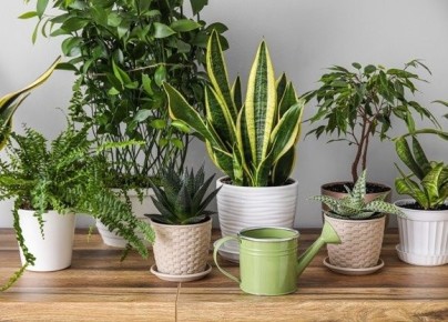 ����������� ������: ��� ������ ���������� ��������� ��������