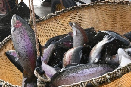 ����� � �������� ����������� ����� �������� � �������