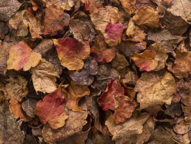 ��� ������ � ������� � ������?