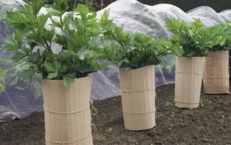 �������, ��� �������� ���������� ����������� ���������: �������� � ������