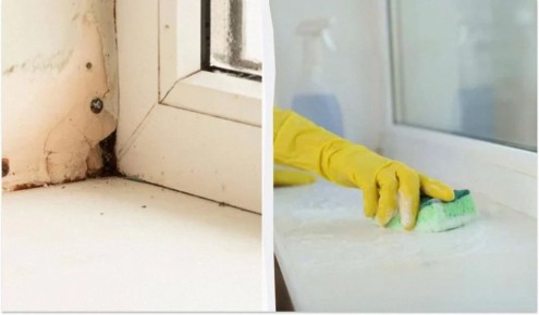 ��� ������� ����������� ����������� ��� ����� �� 15 �����