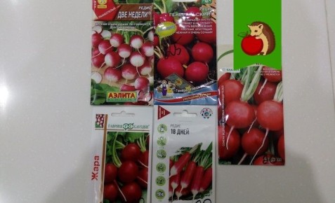 ��� ��������� ����� ��� ������ �����: ���� �������� ��� �������� �������