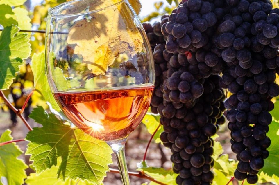 ������� �������� ��������� ������������� ���������� �� TERRAVINO-2026