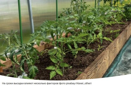 ����� ������� ���������� ������ � �������