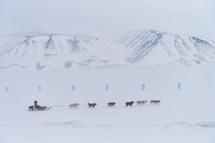 ����� ������� ����� �� ������� � ���� ����� ��������� � ������!