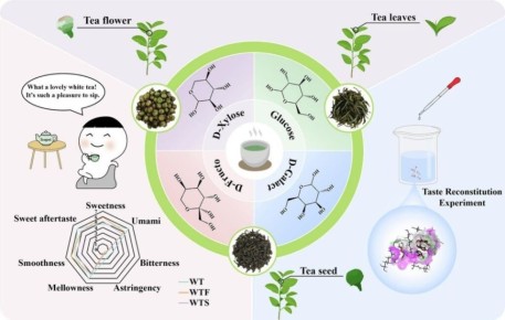 ��� ����� ������������ ������� ��� ������ �� ����� ���