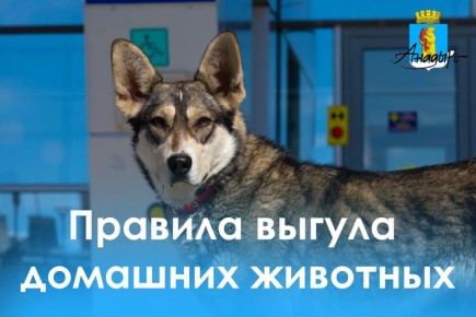 ��������� ��������� �������� ��������!