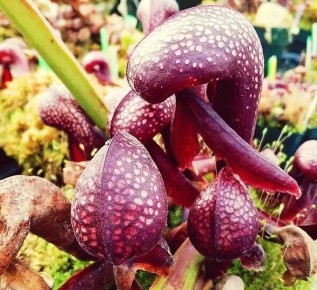 ������������: �������� ������ �� ����� ����������