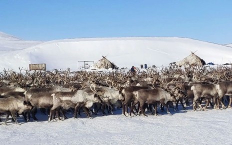 � ������������������ ���������� �������� ��������� ������ � ������� �������� �����������